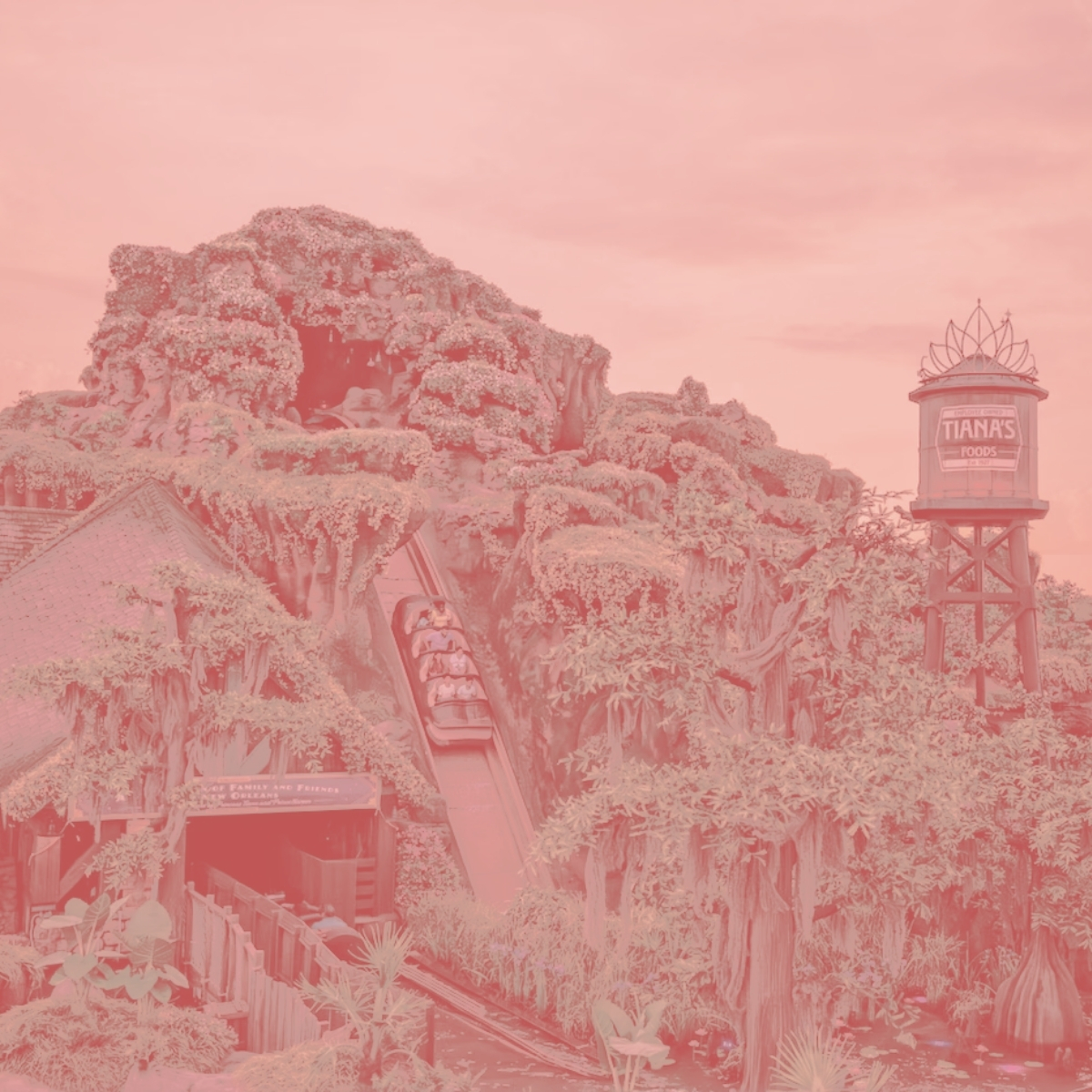 Almost There: What a Disney Ride Taught Me About Fear After Life Got Hard